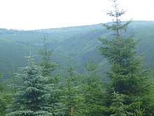 Panorama hor