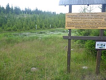 Alfr�dka