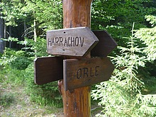 V pravo sm�r Orle