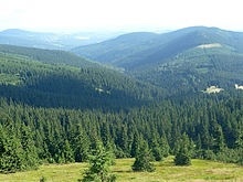 Krkono�e