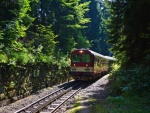 Ozubnicov� tra� - zuba�ka (foto 6)
