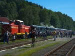 Ozubnicov� tra� - zuba�ka (foto 20)
