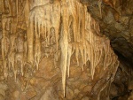 Bozkovsk� dolomitov� jeskyn� - Bozkovsk� dolomitov� jeskyn� (foto 3)